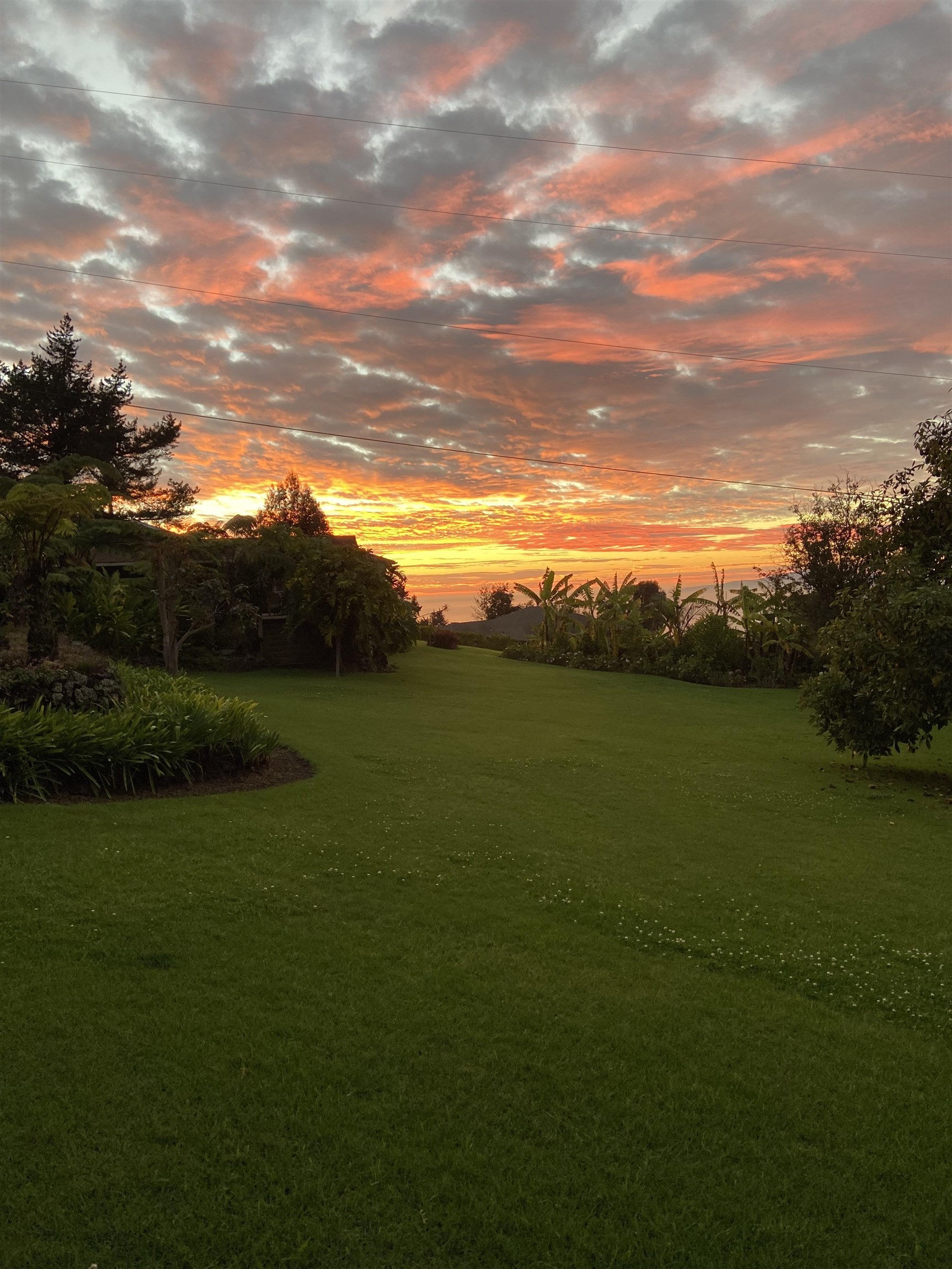 154 Cooke Road Kula, HI 96790 - Photo 28 of 29