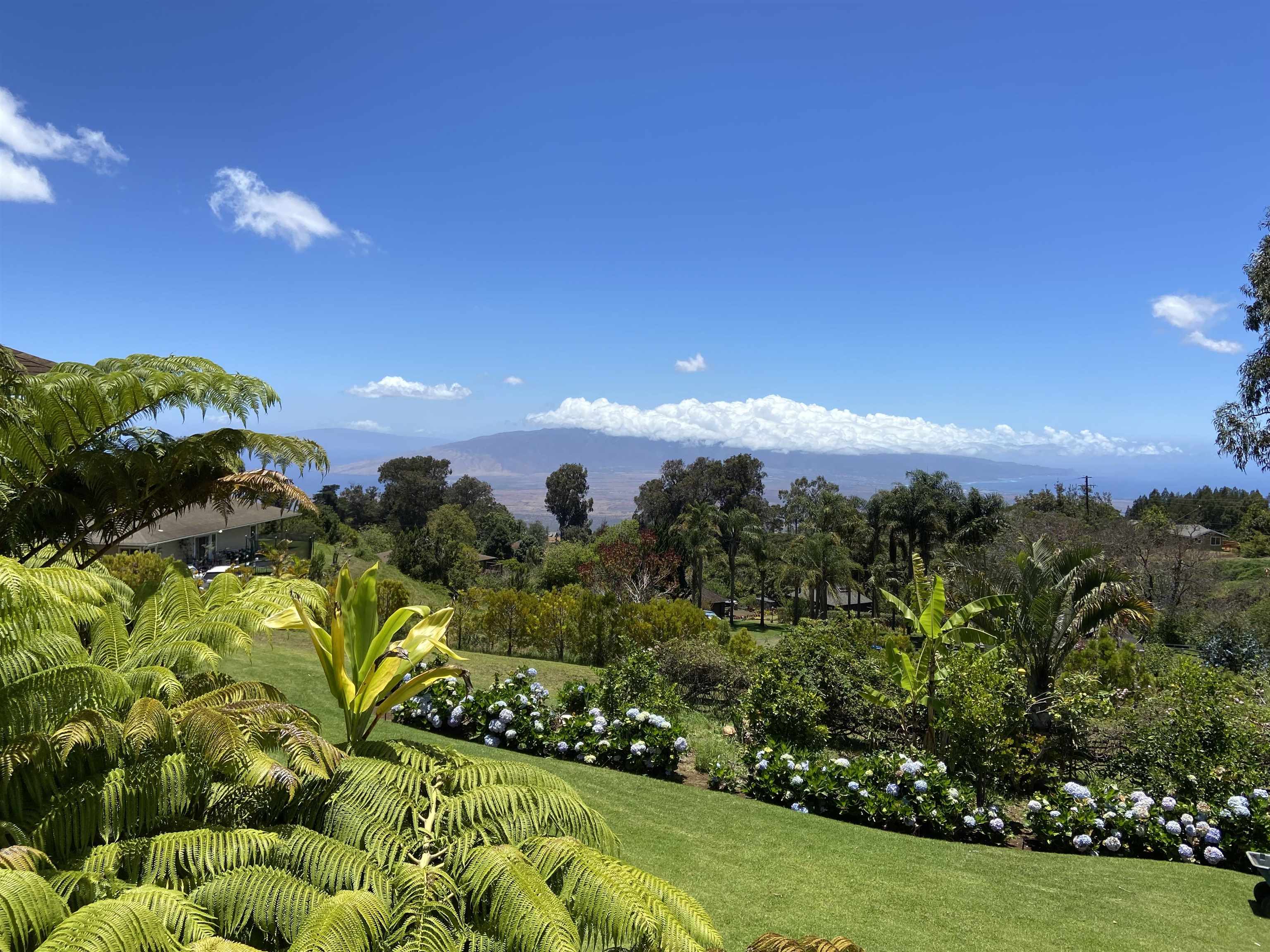 154 Cooke Road Kula, HI 96790 - Photo 29 of 29