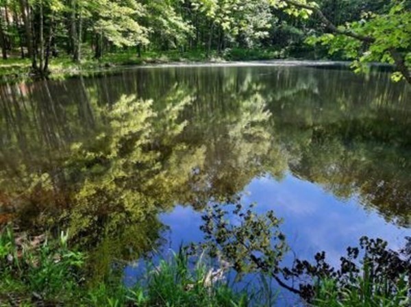 2089 Greenwich Road Hardwick, MA 01082 - Photo 35 of 38 a view of a lake with a house in background