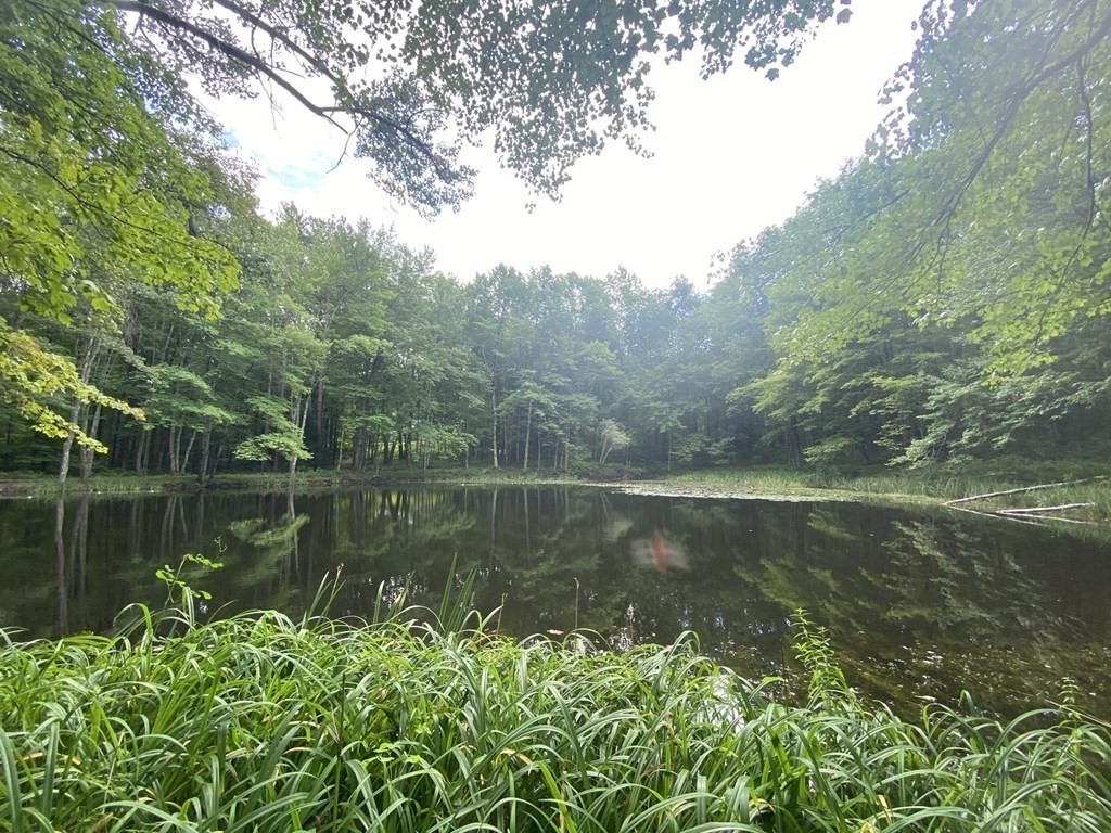 2089 Greenwich Road Hardwick, MA 01082 - Photo 36 of 38 a view of a lake with a forest