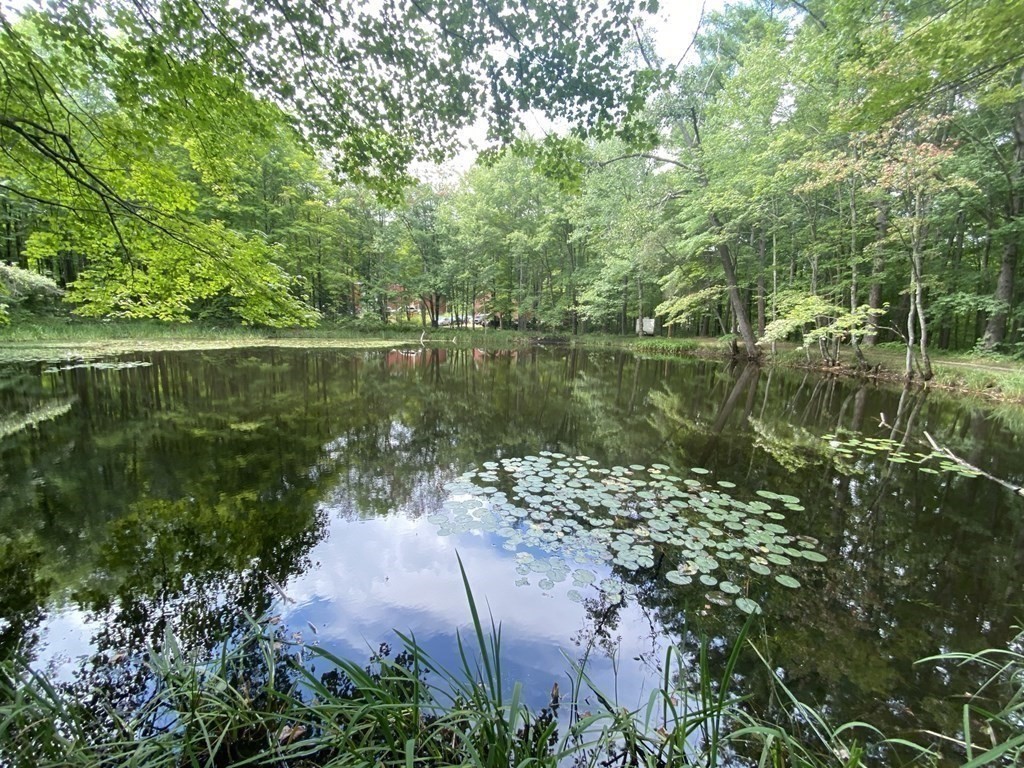 2089 Greenwich Road Hardwick, MA 01082 - Photo 4 of 38 a view of a lake with a yard