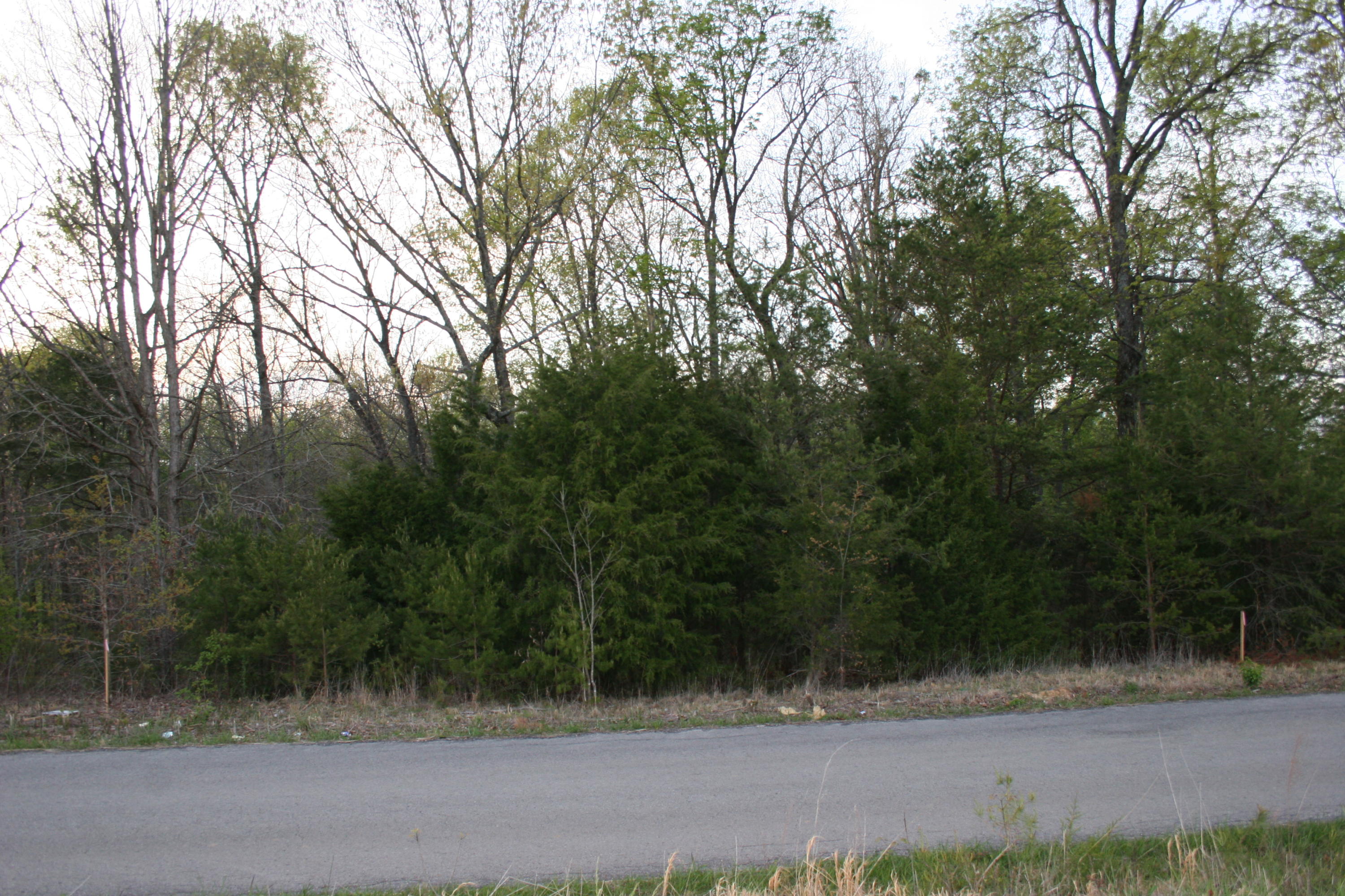 Gamble Road Madisonville, TN 37354 - Photo 3 of 13 IMG_3811