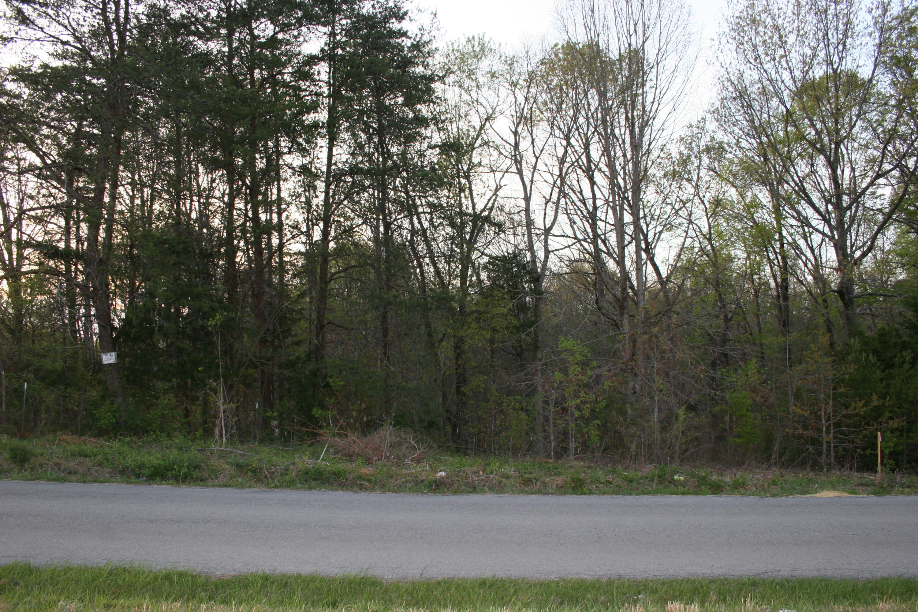 Gamble Road Madisonville, TN 37354 - Photo 4 of 13 IMG_3812