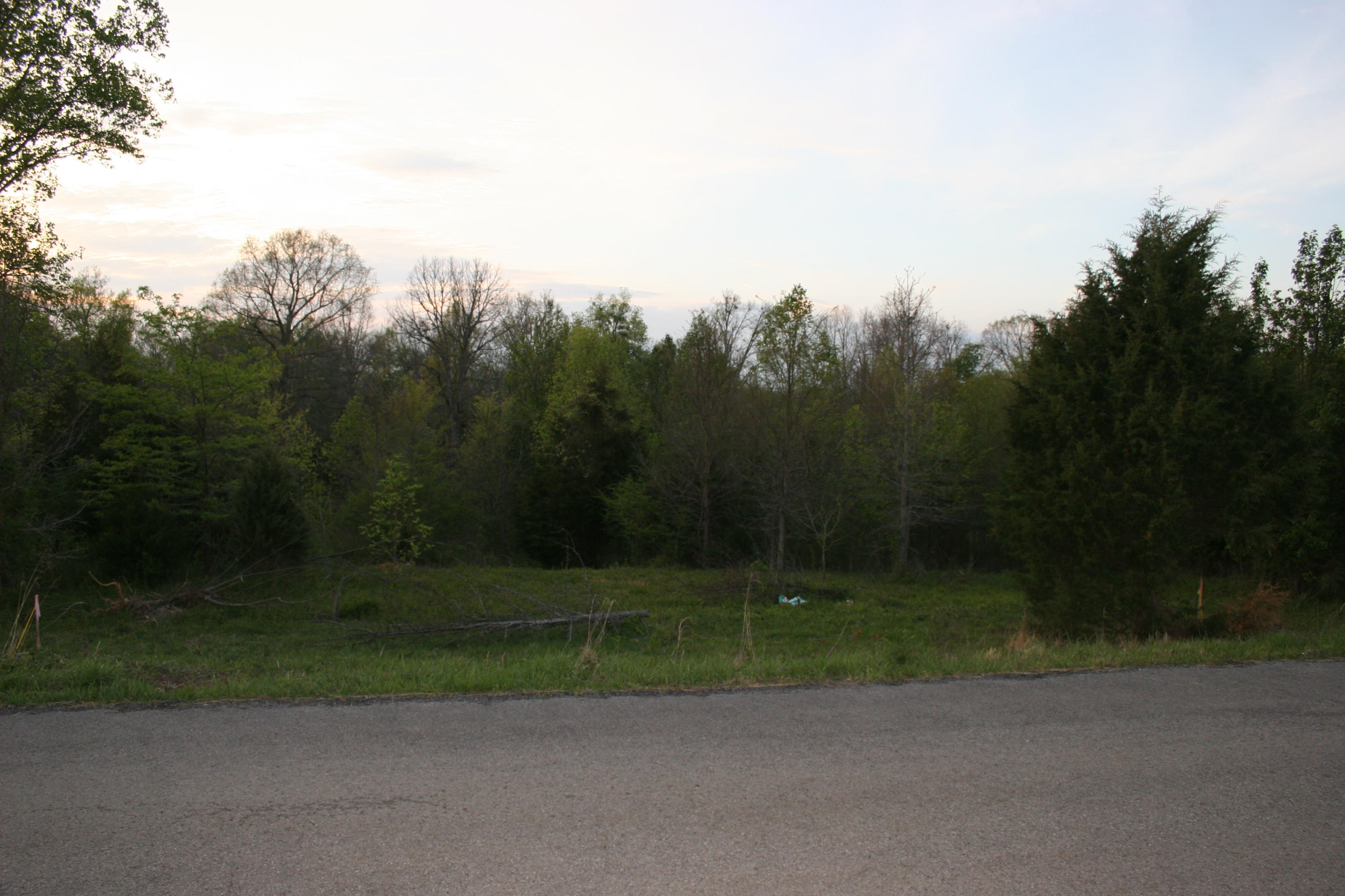Gamble Road Madisonville, TN 37354 - Photo 5 of 13 IMG_3813