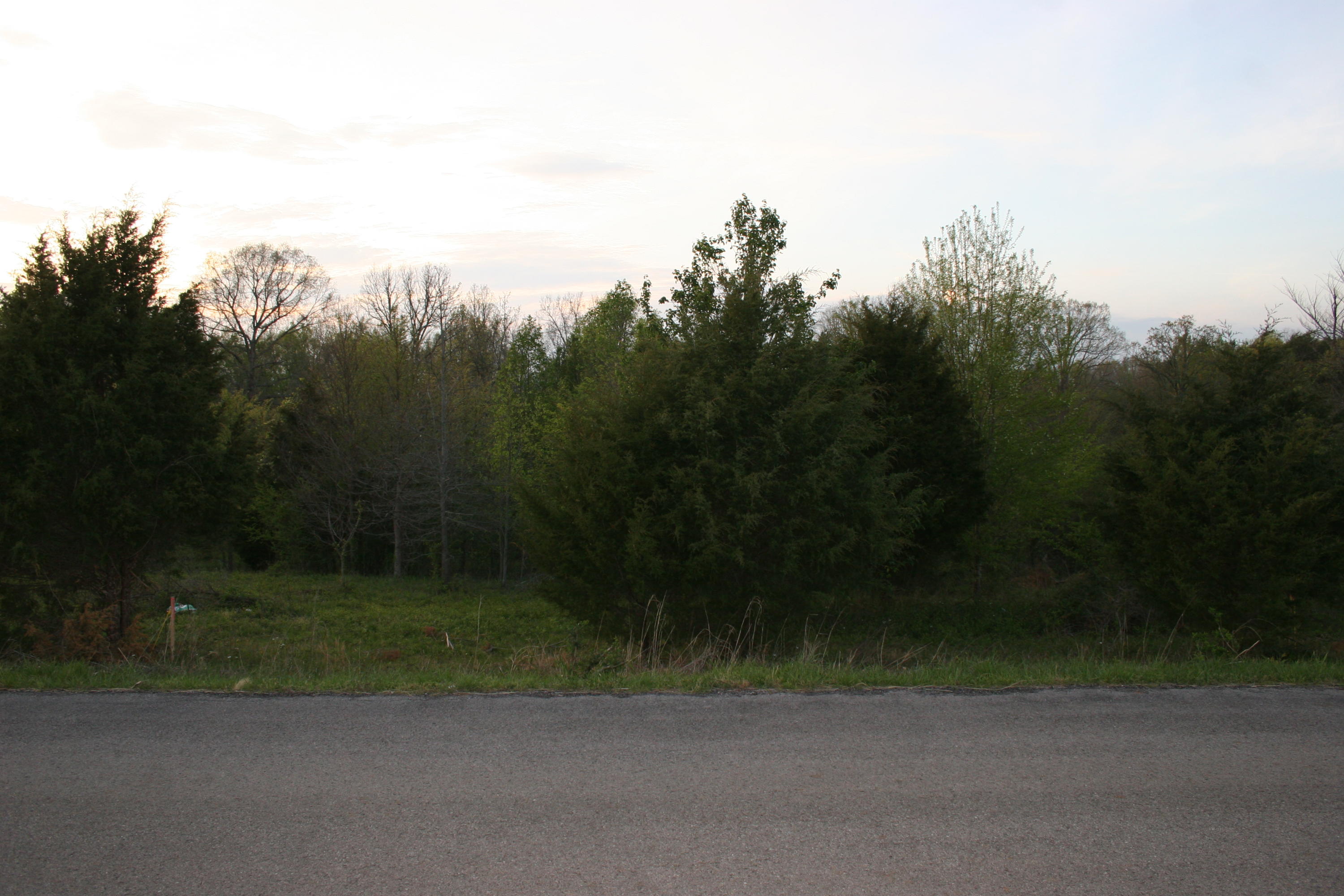 Gamble Road Madisonville, TN 37354 - Photo 6 of 13 IMG_3814