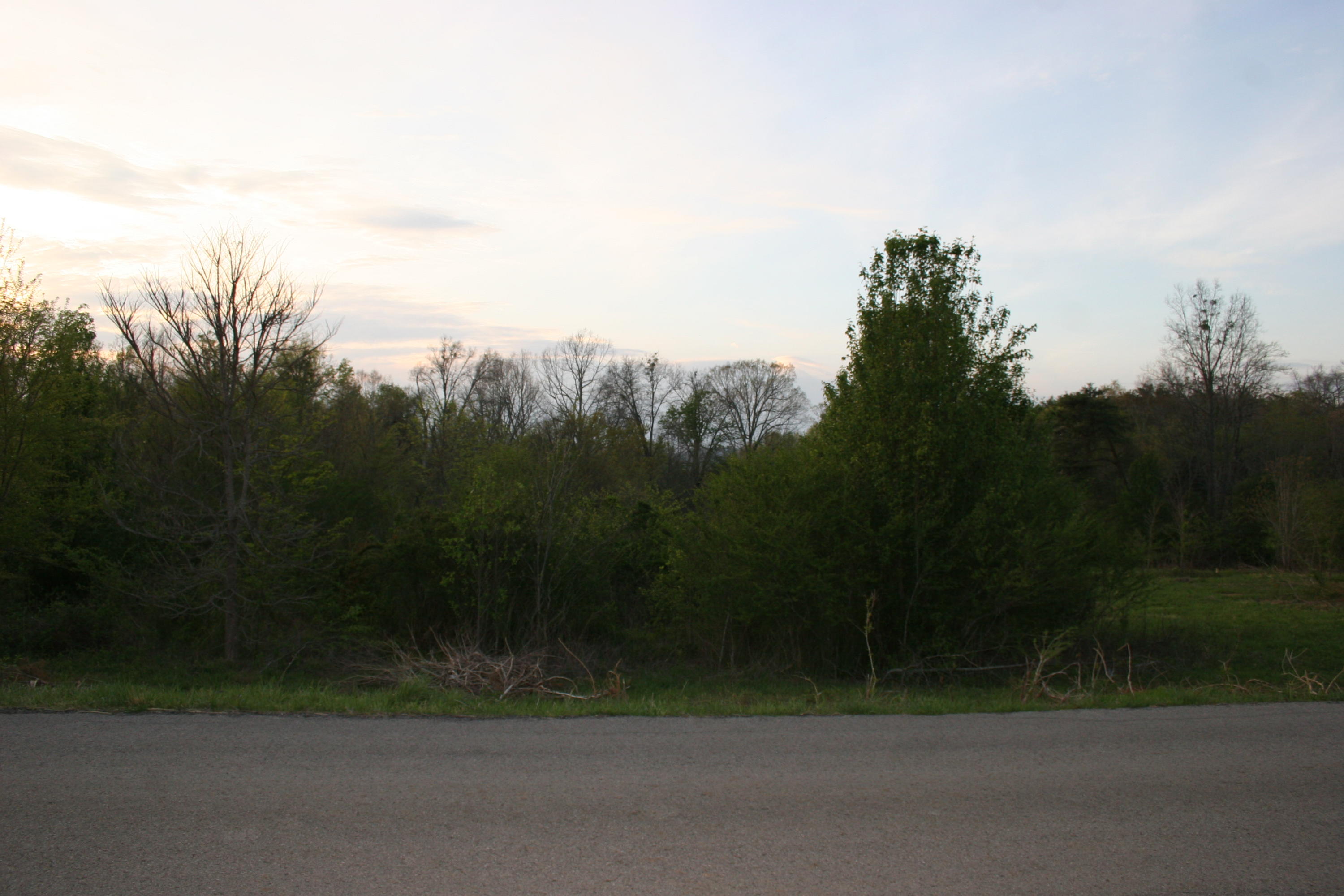 Gamble Road Madisonville, TN 37354 - Photo 7 of 13 IMG_3815