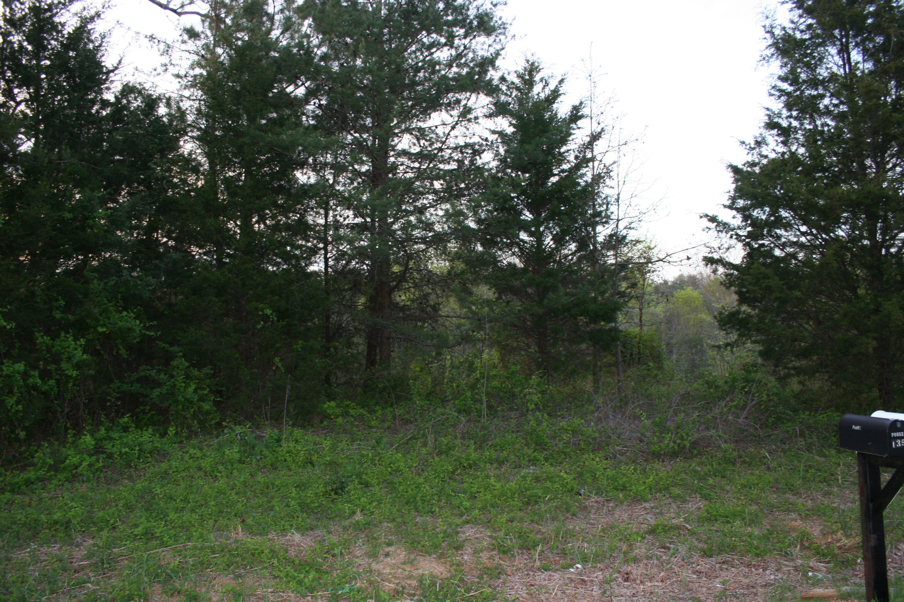 Gamble Road Madisonville, TN 37354 - Photo 10 of 13 IMG_3818