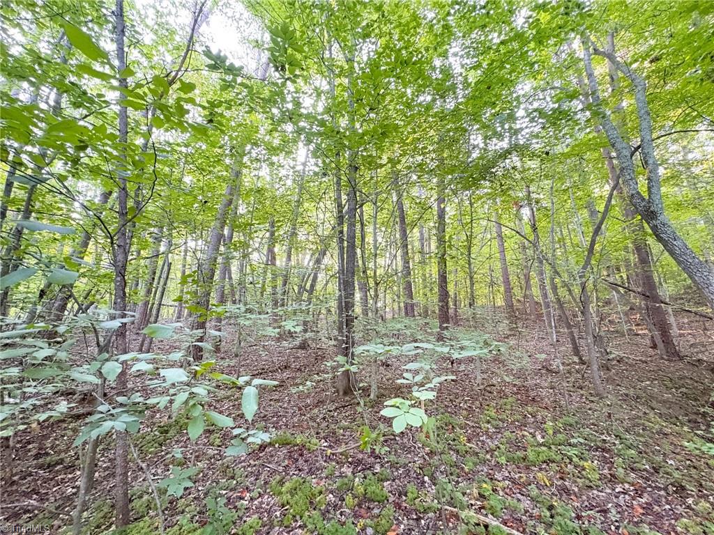 320 Stanley Road Stokesdale, NC 27357 - Photo 46 of 50 Gallery Image 46