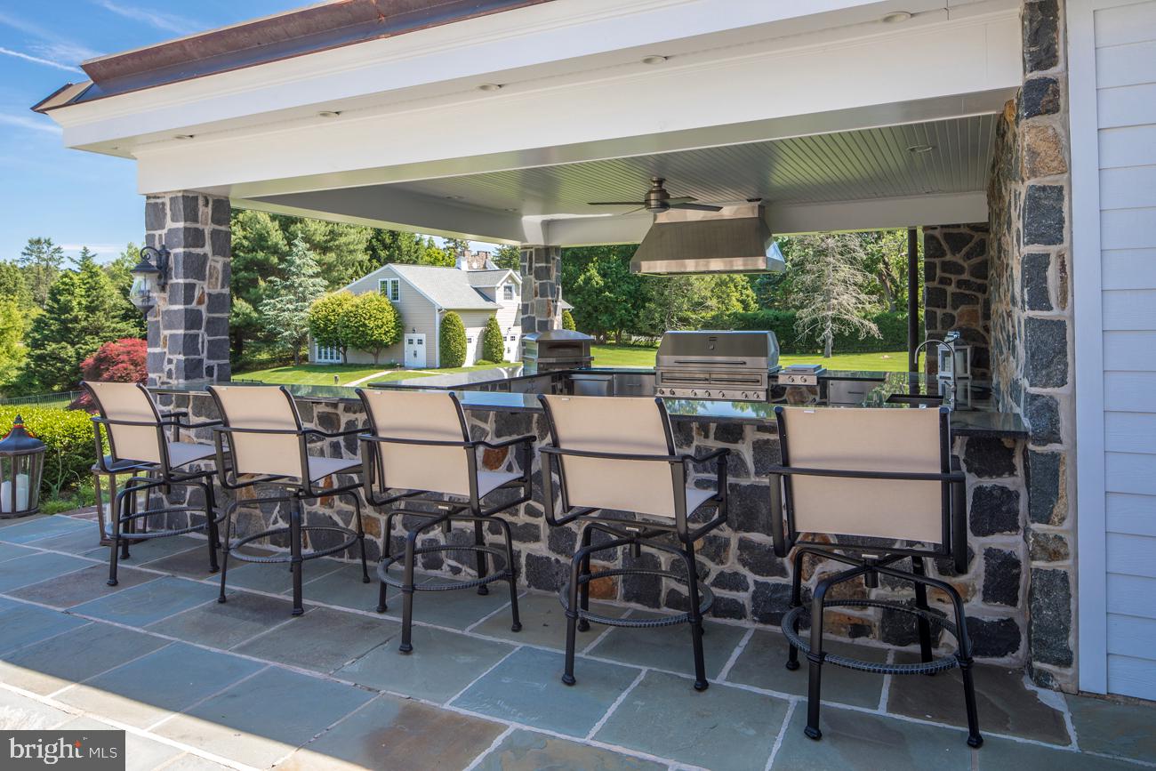 556 South Waterloo Road Devon, PA 19333 - Photo 21 of 27 Barbecue Area