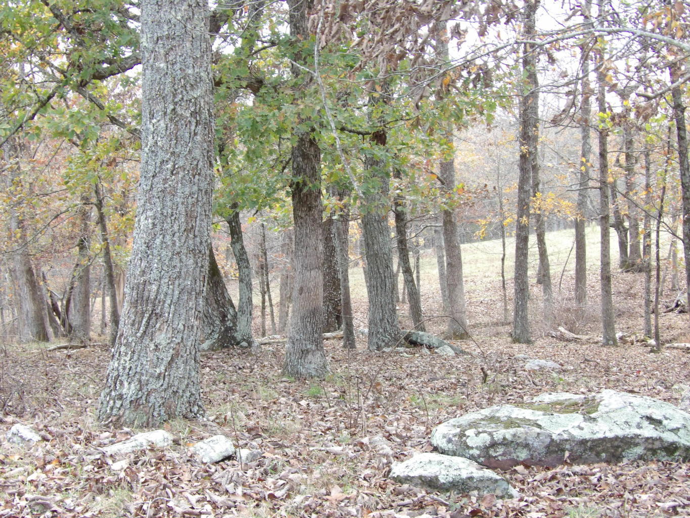 Porchrock Road Pikeville, TN 37367 - Photo 12 of 40 20191104182344836588000000-o
