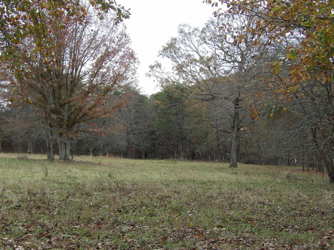 Porchrock Road Pikeville, TN 37367 - Photo 16 of 40 20191104182405363145000000-o