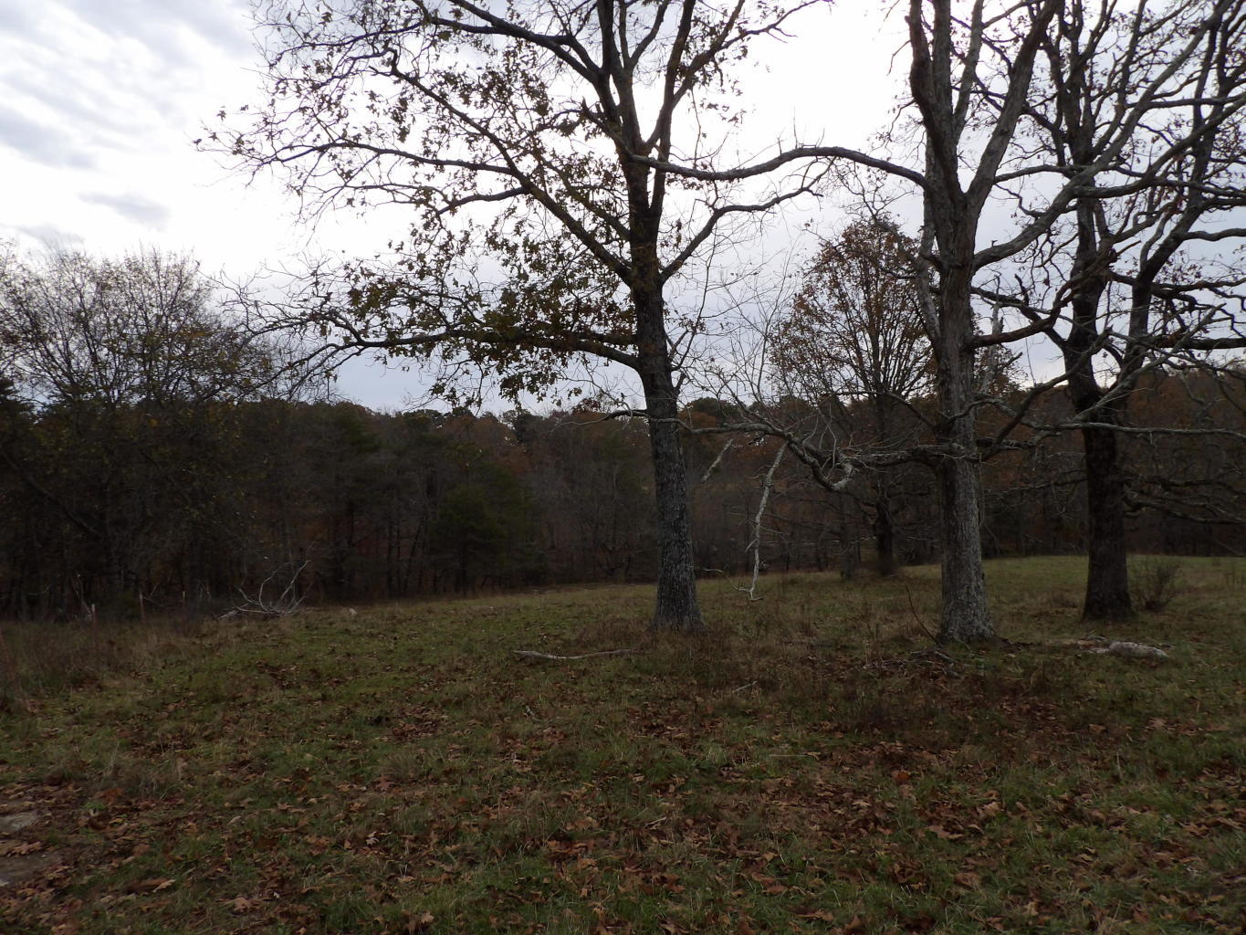 Porchrock Road Pikeville, TN 37367 - Photo 24 of 40 20191104182439273826000000-o