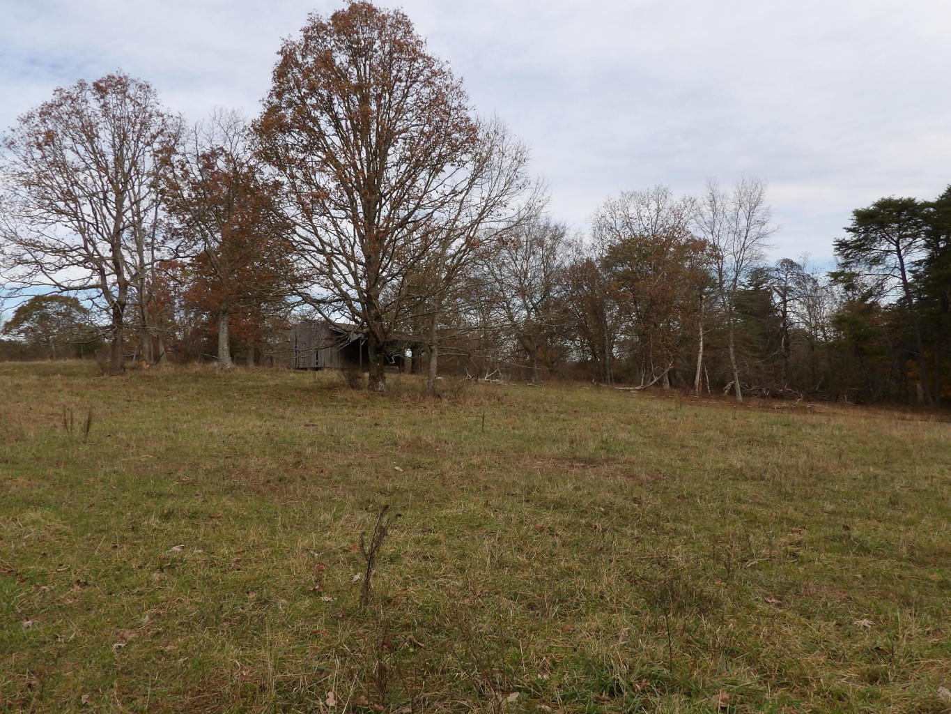 Porchrock Road Pikeville, TN 37367 - Photo 25 of 40 20191104182451851532000000-o