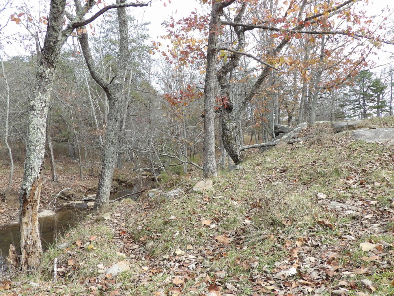 Porchrock Road Pikeville, TN 37367 - Photo 28 of 40 20191104182511631913000000-o