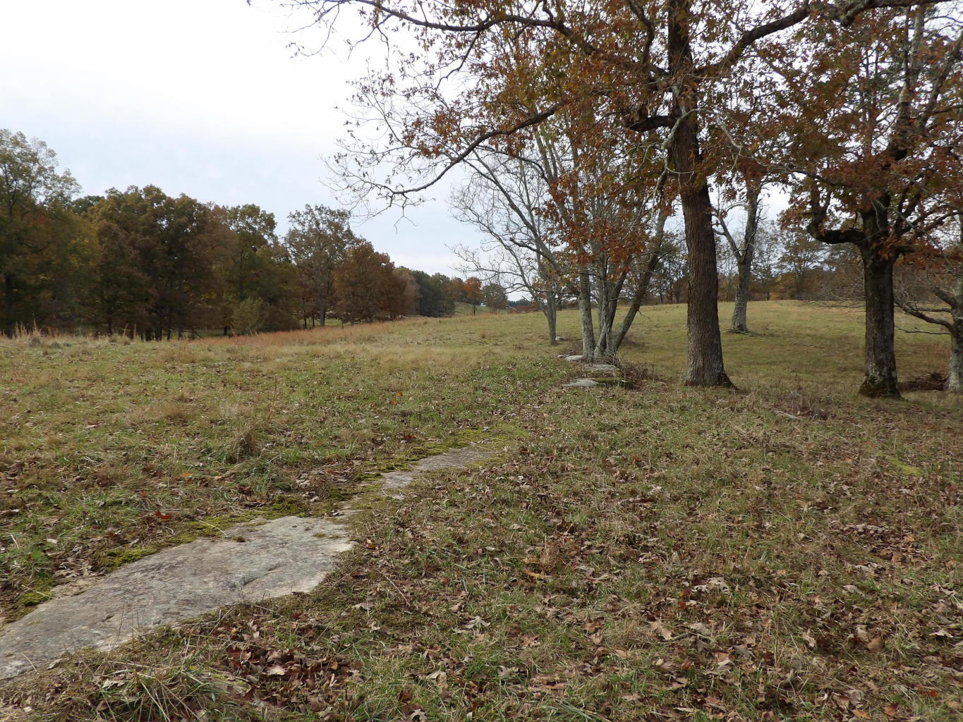 Porchrock Road Pikeville, TN 37367 - Photo 29 of 40 20191104182516226519000000-o