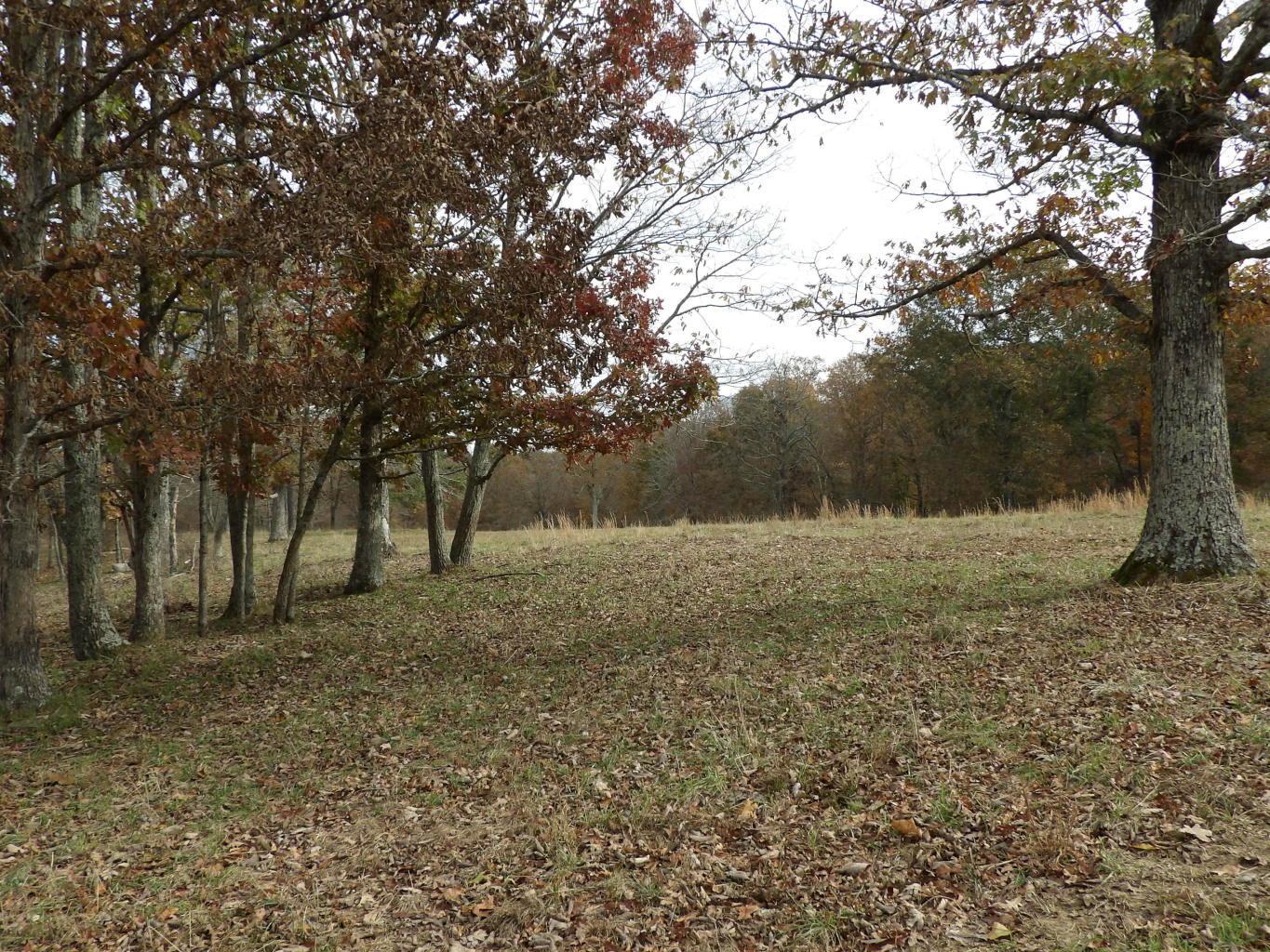Porchrock Road Pikeville, TN 37367 - Photo 30 of 40 20191104182522610555000000-o