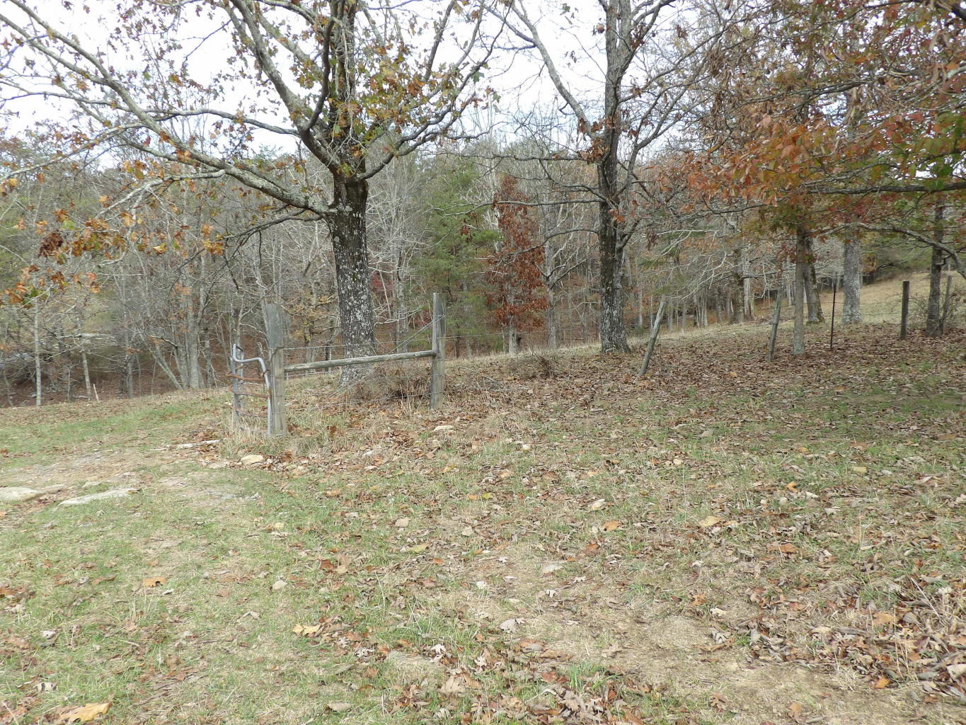 Porchrock Road Pikeville, TN 37367 - Photo 31 of 40 20191104182525993932000000-o