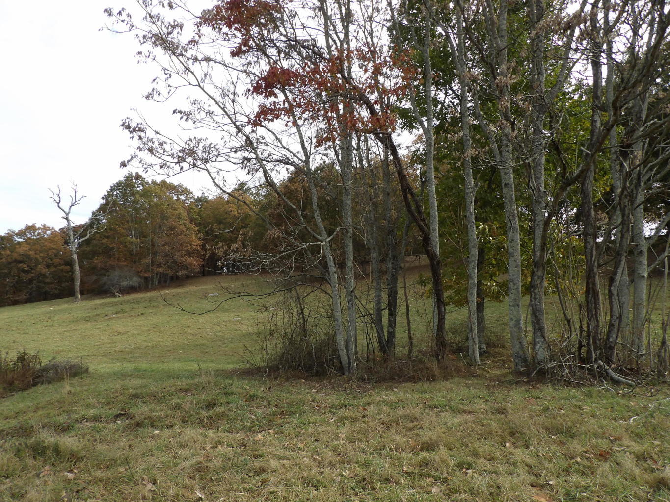 Porchrock Road Pikeville, TN 37367 - Photo 36 of 40 20191104182548172166000000-o