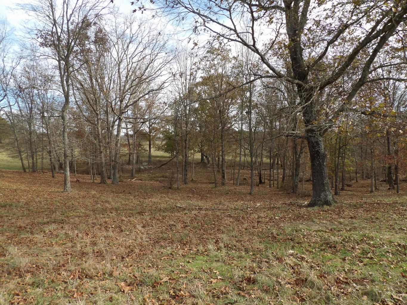 Porchrock Road Pikeville, TN 37367 - Photo 5 of 40 20191104182316811589000000-o