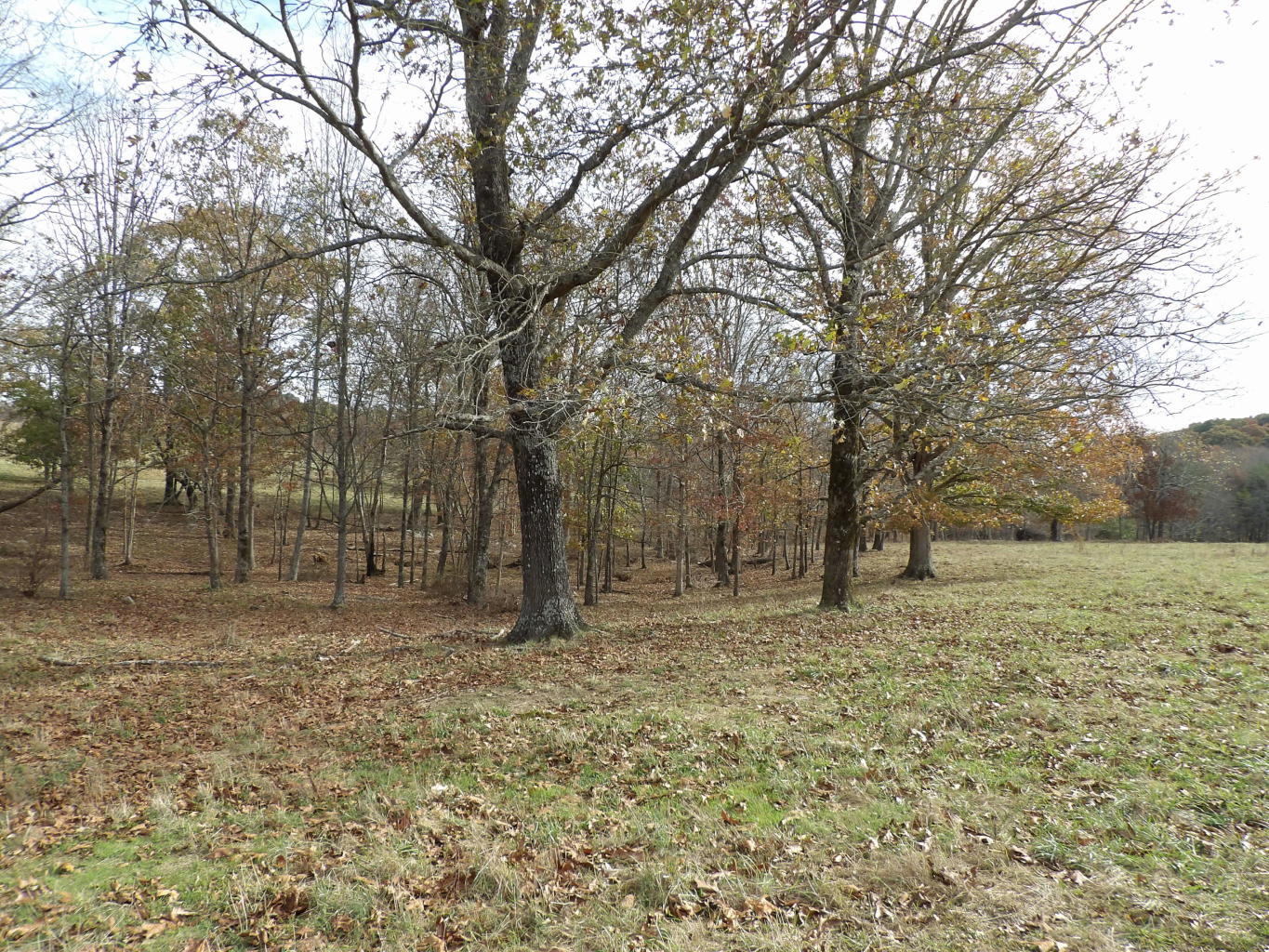 Porchrock Road Pikeville, TN 37367 - Photo 6 of 40 20191104182320573982000000-o