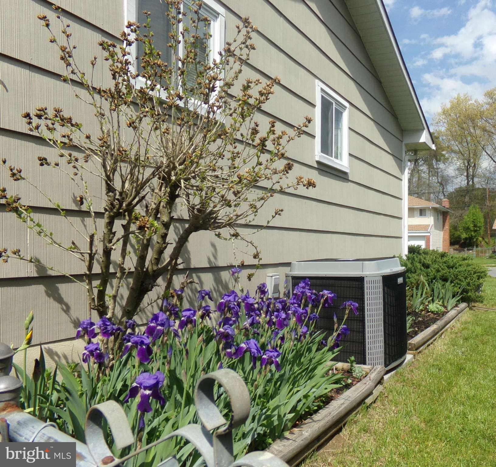 8113 Phirne Road East Glen Burnie, MD 21061 - Photo 21 of 27 a front view of a house with a yard