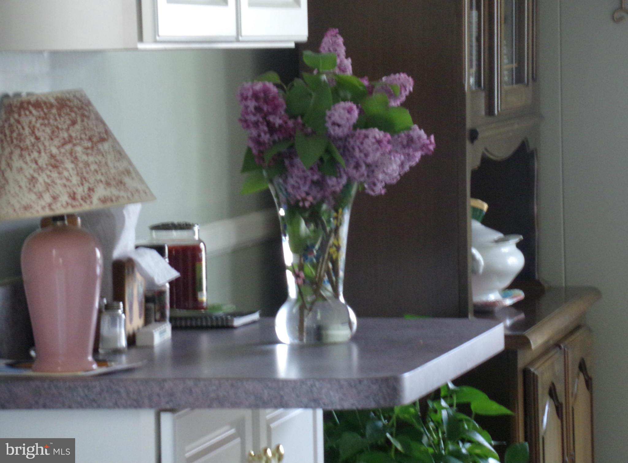 8113 Phirne Road East Glen Burnie, MD 21061 - Photo 23 of 27 a vase of flowers sitting on a table