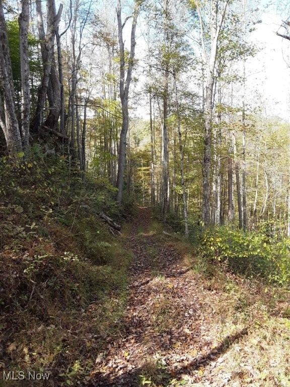 88 Ivy Road Walton, WV 25286 - Photo 30 of 37