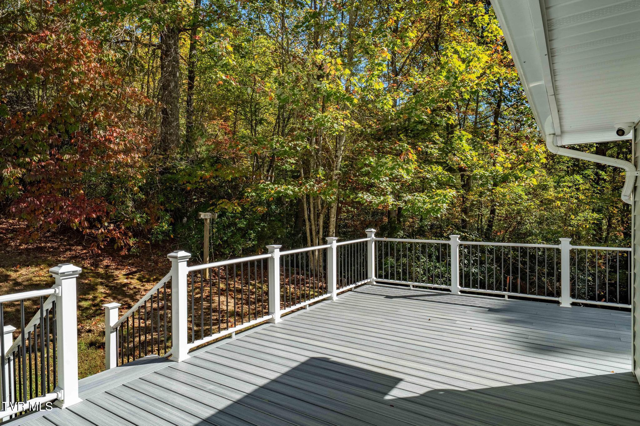 2028 Shingletown Road Mountain City, TN 37683 - Photo 27 of 68 2028 Shingletown Road (43 of 86)