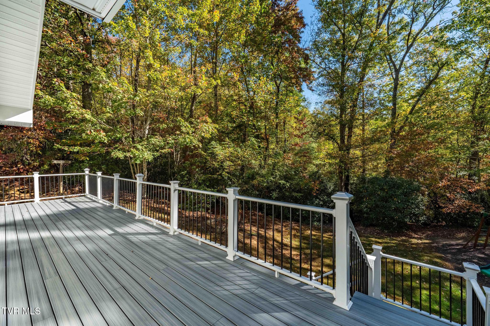 2028 Shingletown Road Mountain City, TN 37683 - Photo 32 of 68 2028 Shingletown Road (48 of 86)