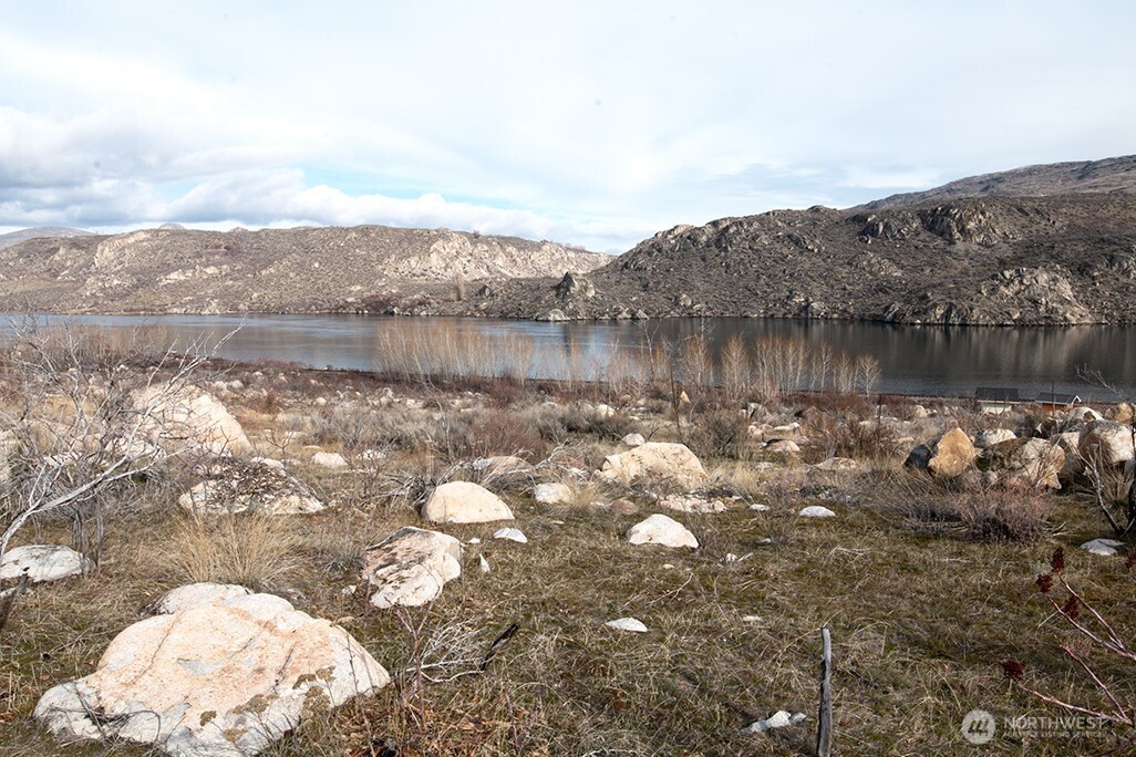 a view of a lake in middle of the forest