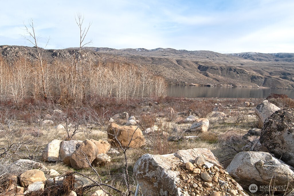 -nna Nna Loop Pateros, WA 98846 - Photo 18 of 37 a view of a dry yard with trees