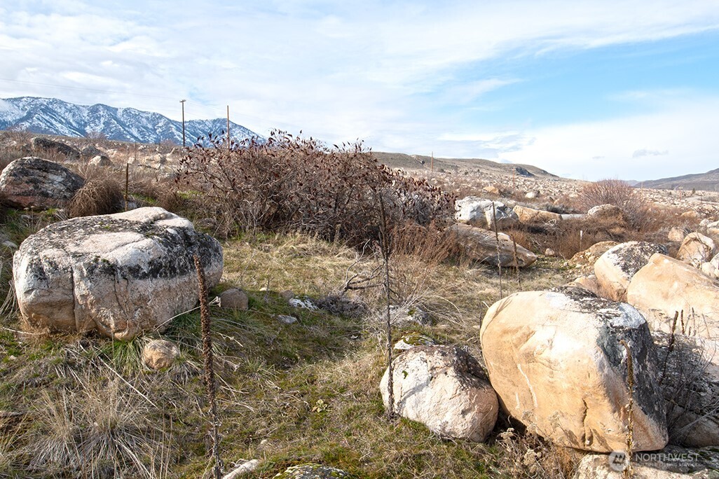 -nna Nna Loop Pateros, WA 98846 - Photo 20 of 37 a view of a lot of trees in the background