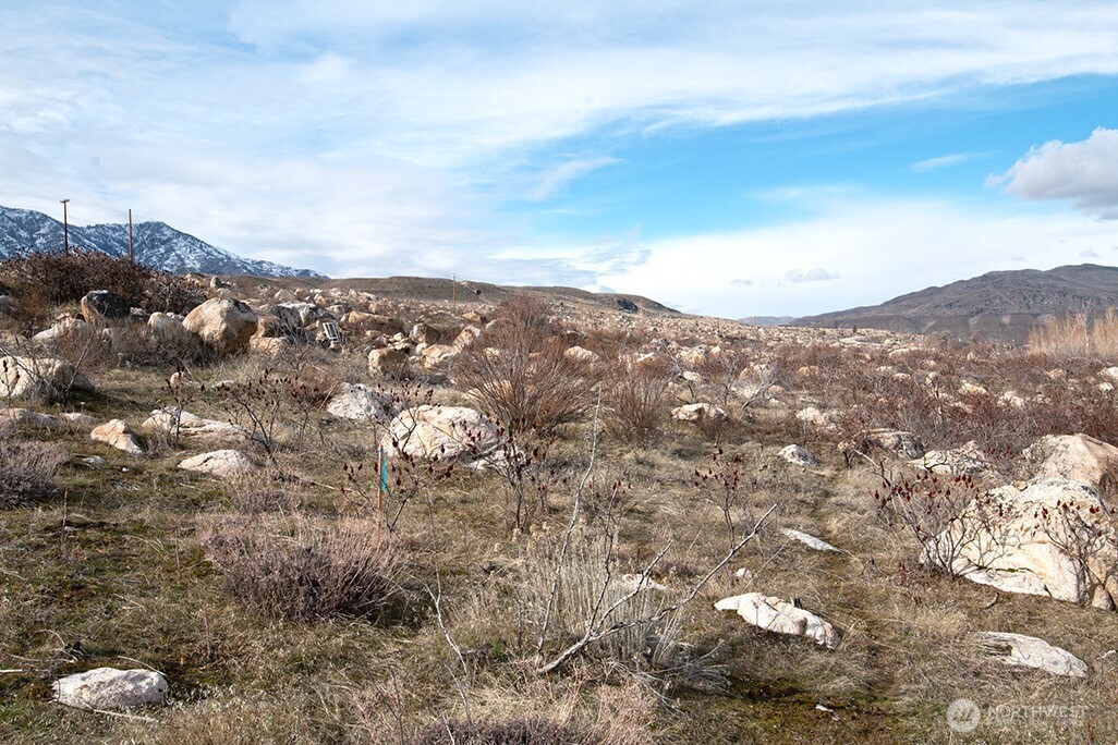 -nna Nna Loop Pateros, WA 98846 - Photo 23 of 37 a view of a city