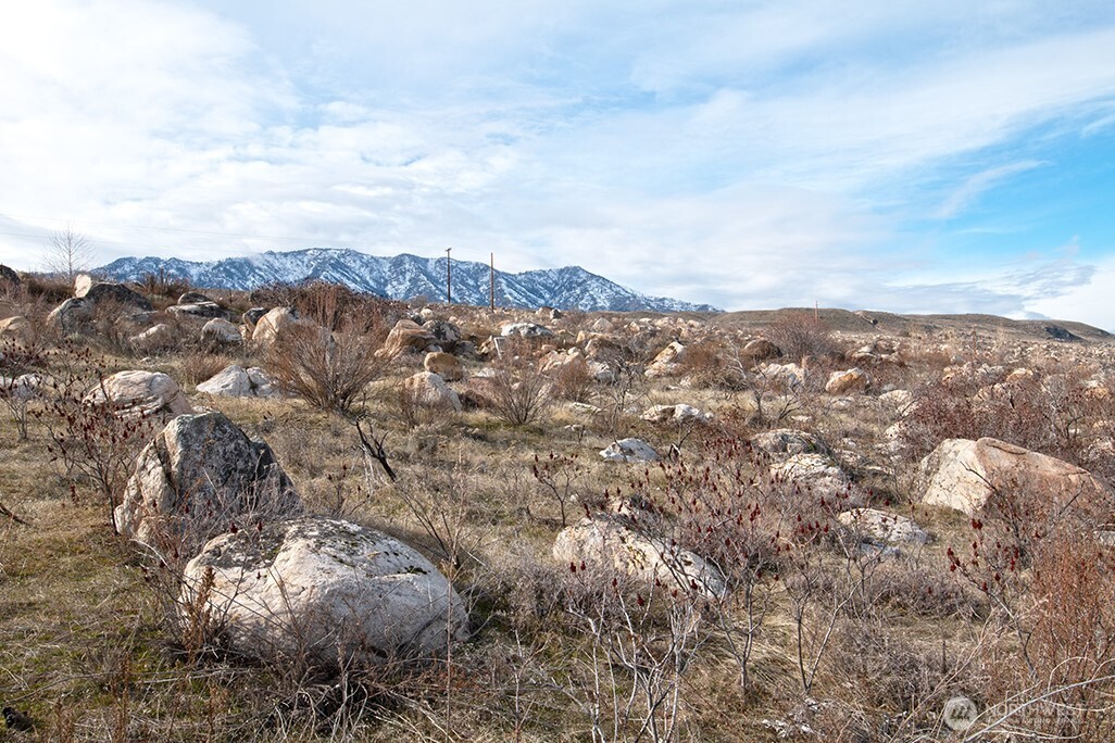 -nna Nna Loop Pateros, WA 98846 - Photo 24 of 37 an aerial view of houses covered in trees