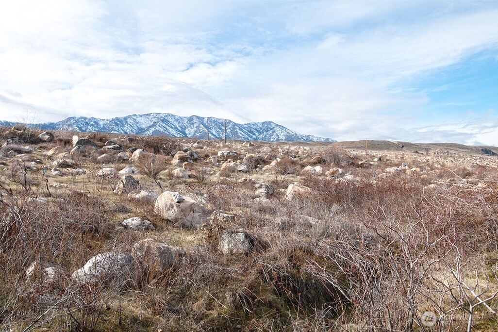 -nna Nna Loop Pateros, WA 98846 - Photo 25 of 37 a view of city and mountain