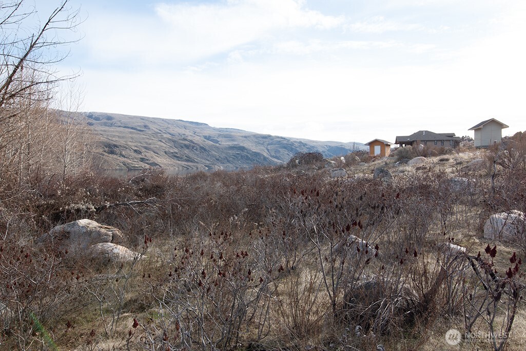 -nna Nna Loop Pateros, WA 98846 - Photo 27 of 37 a view of a dry yard with mountains in the background