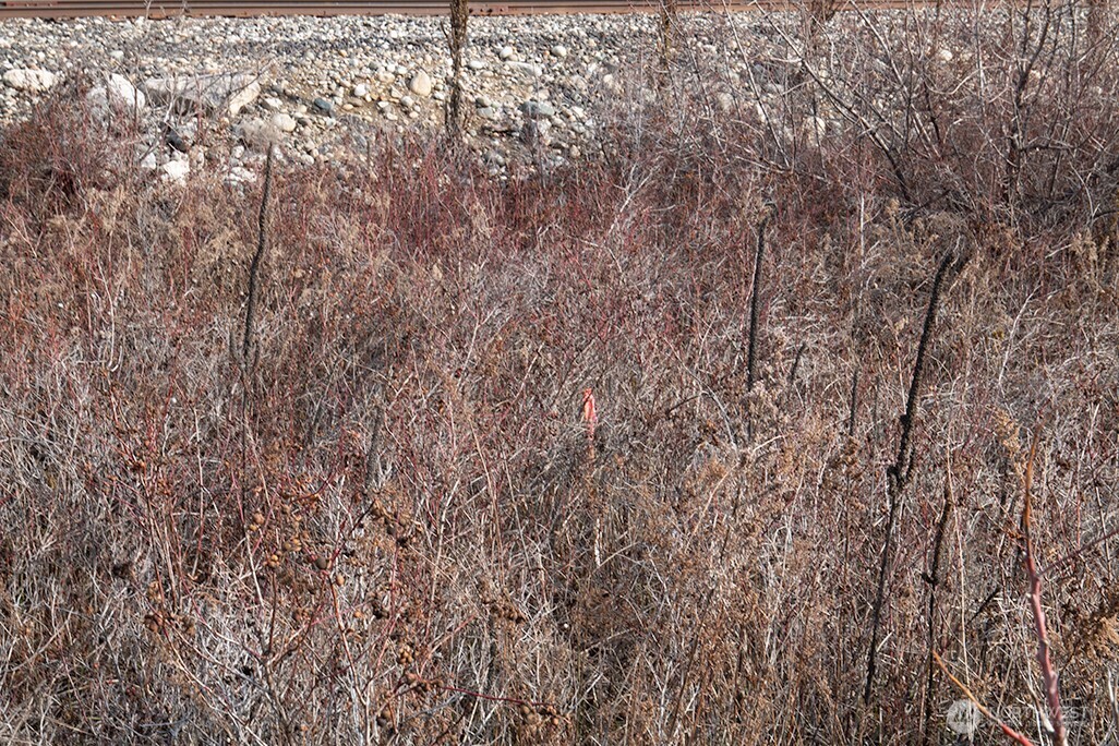 -nna Nna Loop Pateros, WA 98846 - Photo 29 of 37