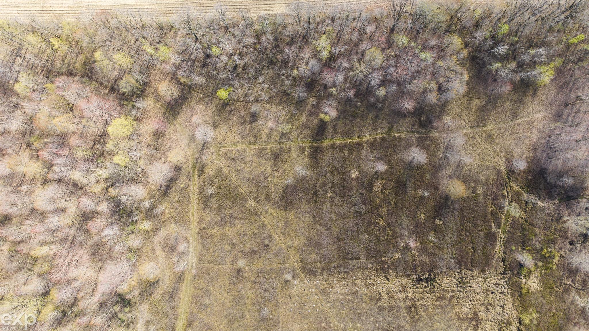 11152 Dunn Road Memphis, MI 48041 - Photo 53 of 53