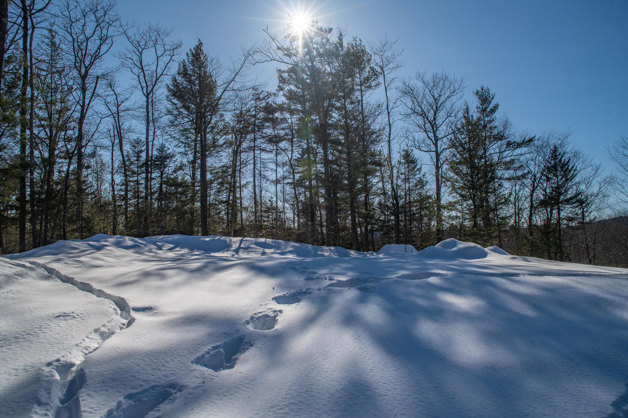15 Ripps Trail Bethel, ME 04217 - Photo 12 of 45 DSC_9165