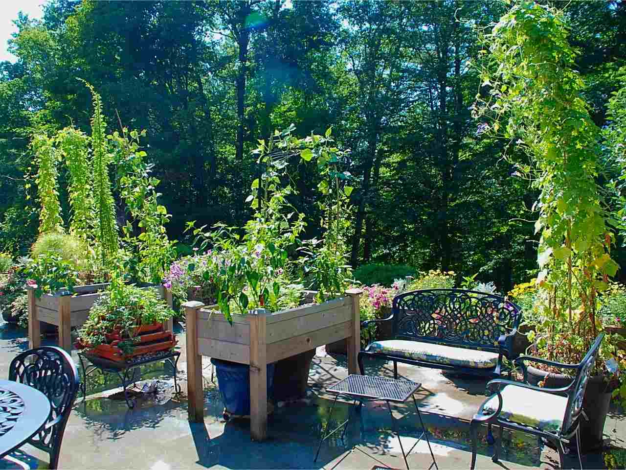 296 Yantz Hill Road Williston, VT 05495 - Photo 31 of 40