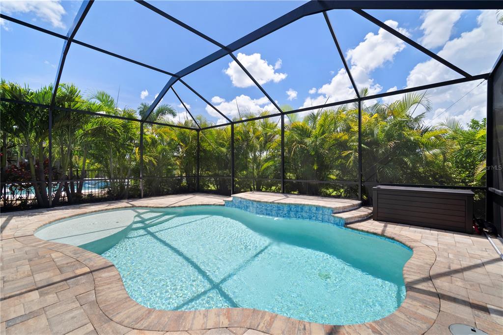 5636 Silver Sun Drive Apollo Beach, FL 33572 - Photo 5 of 61 a view of a swimming pool with a patio