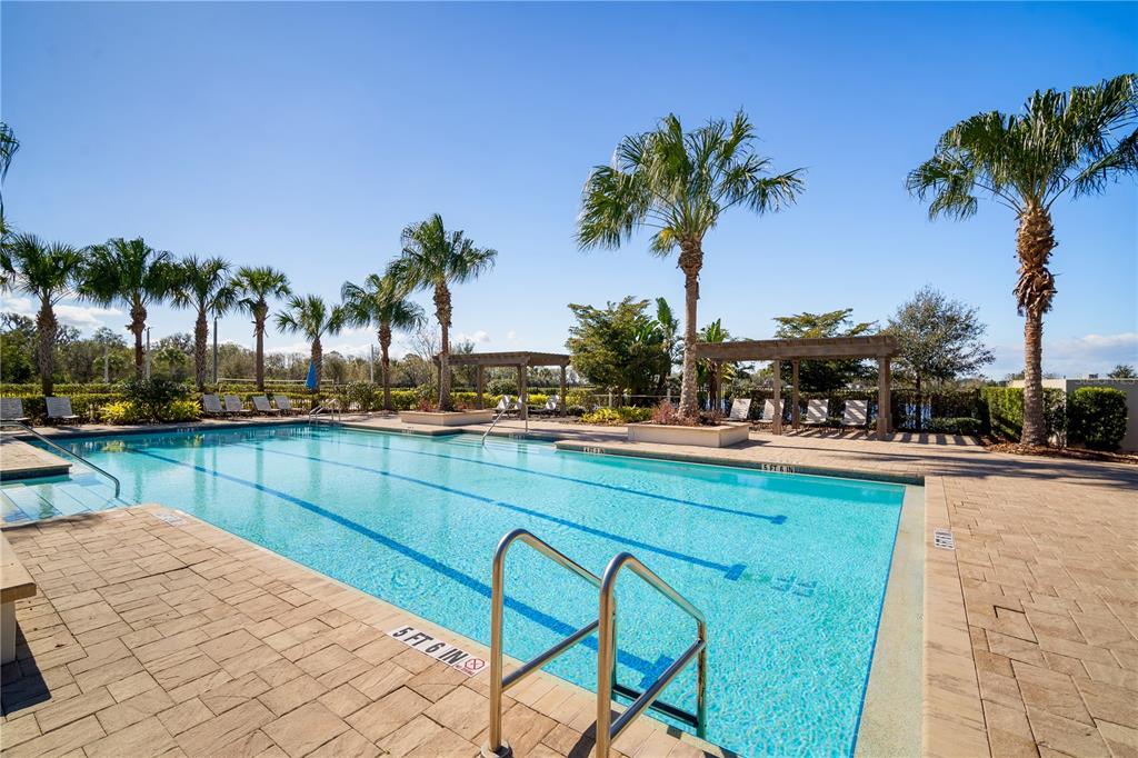 5636 Silver Sun Drive Apollo Beach, FL 33572 - Photo 51 of 61