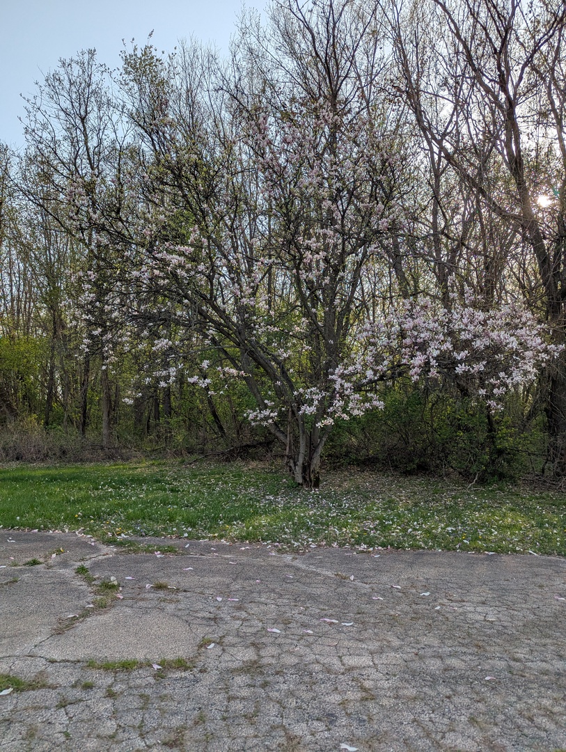 582 West Dresser Road DeKalb, IL 60115 - Photo 4 of 10 a view of a out door space