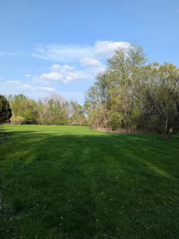 a view of green field with trees