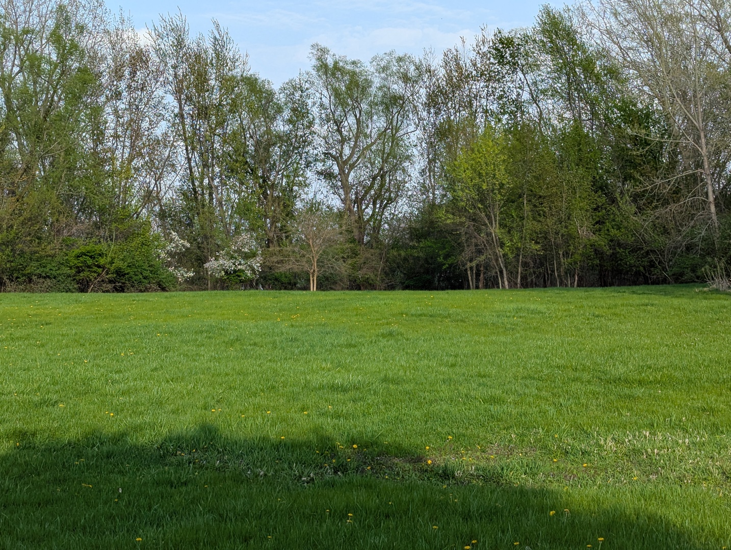 582 West Dresser Road DeKalb, IL 60115 - Photo 9 of 10 a view of a garden with basketball court