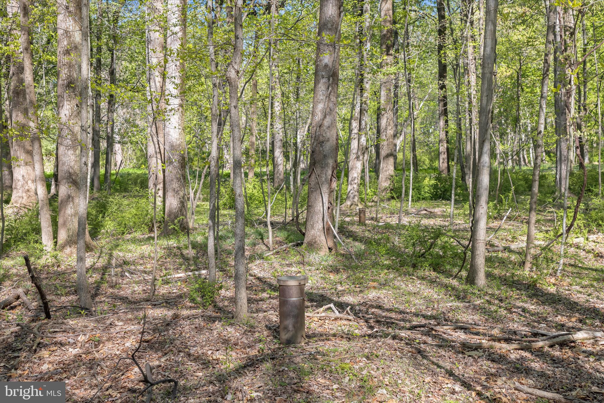 2204 Harmony Woods Road Owings Mills, MD 21117 - Photo 7 of 35 Grounds