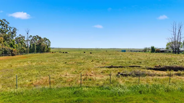 a view of an ocean from a yard