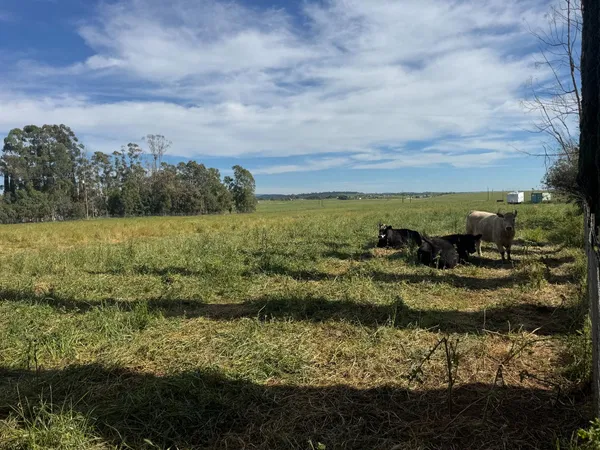 $199,000 | 6924 Eric Lane, Wheatland, CA 95692