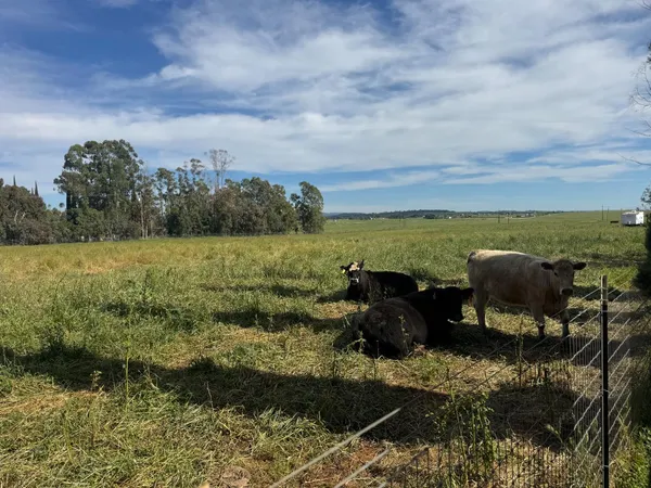 $199,000 | 6924 Eric Lane, Wheatland, CA 95692