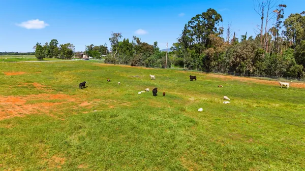 a view of a golf course with an ocean